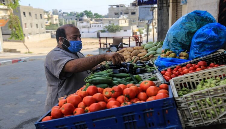 الخضراوات والفواكه في غزة