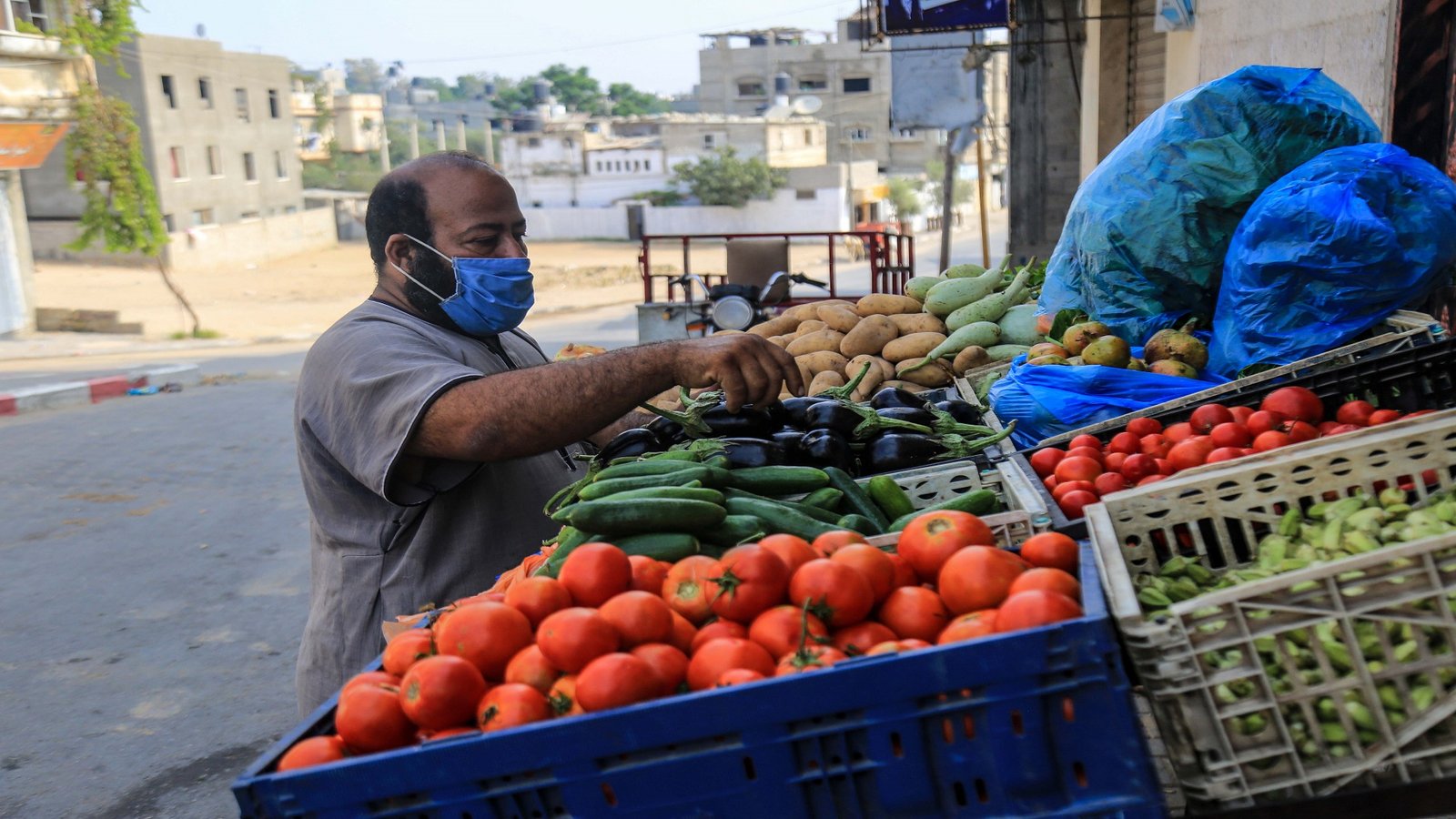 الخضراوات والفواكه في غزة