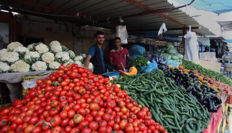 البندورة غزة