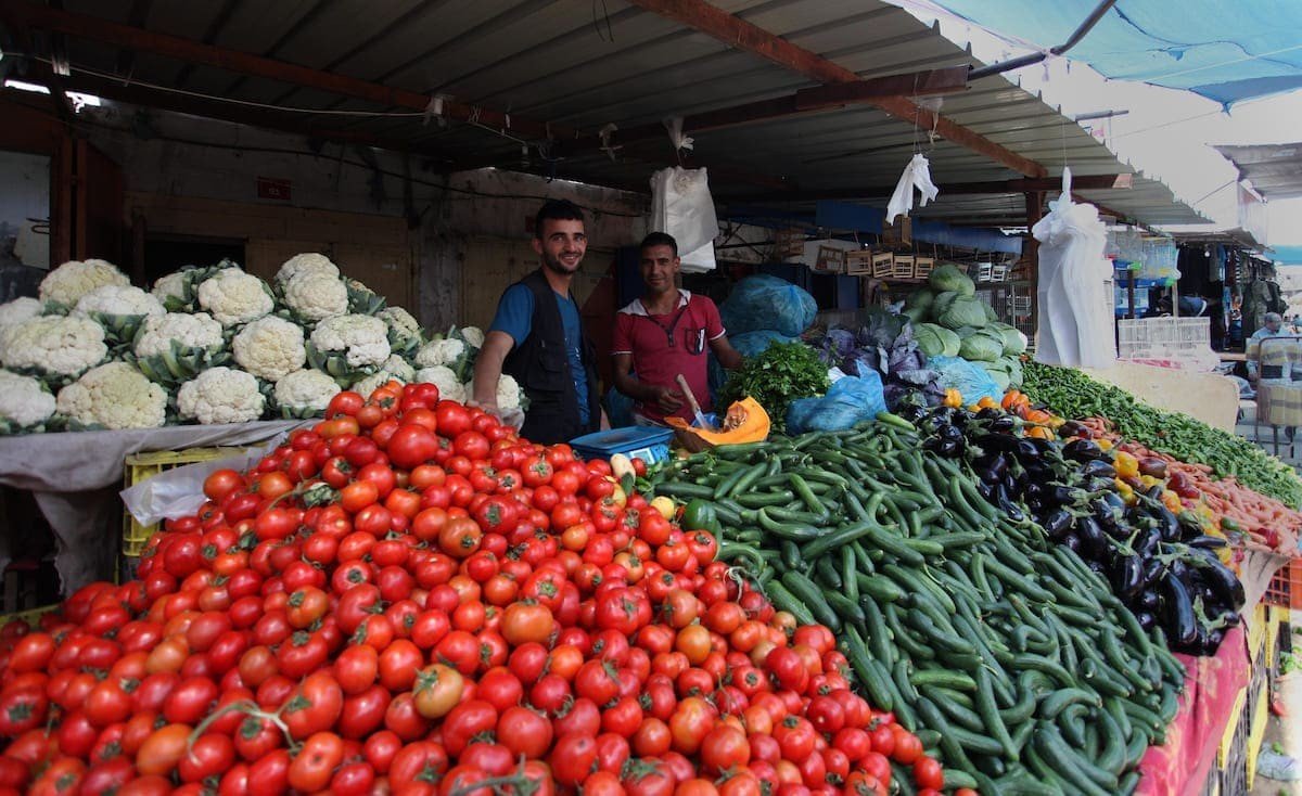 البندورة غزة