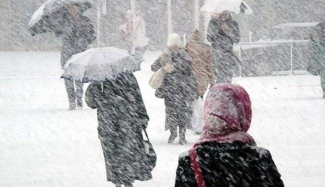 عاصفة ثلجية - الطقس