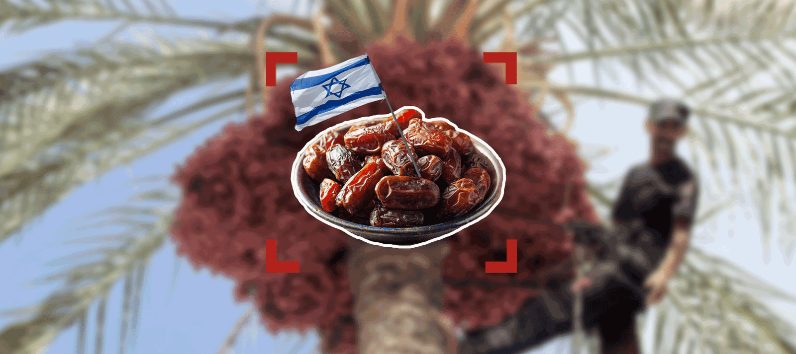 تمور إسرائيلية