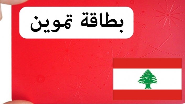 التسجيل في منصة البطاقة التموينية في لبنان impact lebanon
