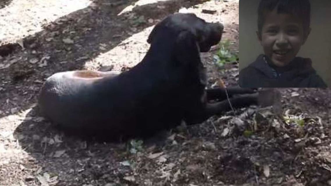 بالصور: كلب أسود يرابط عند قبر ريان المغربي متأثراً برحيله