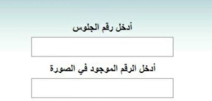 رابط نتائج التوجيهي التكميلي 2021 2022