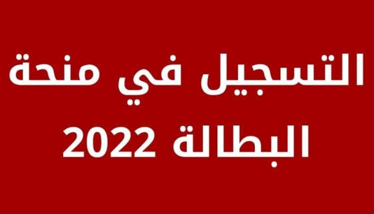 موقع التسجيل في منحة البطالة 2022 في الجزائر عبر الانترنت minha anem dz