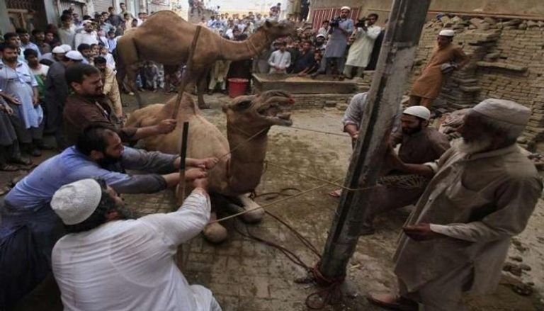 متى تاريخ عيد الاضحى 2022 بالمغرب