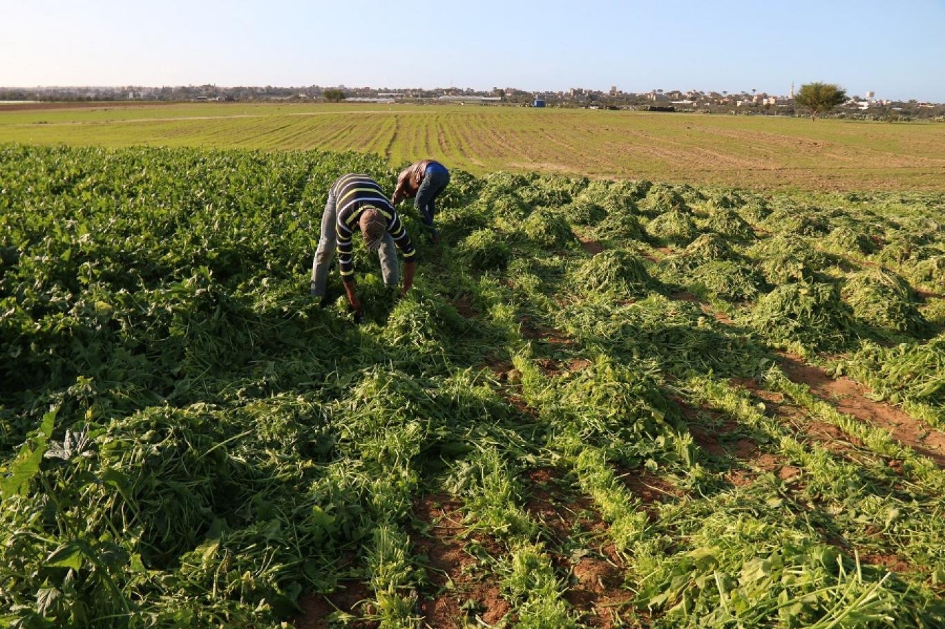 إهانة العمال بالأجور المنخفضة