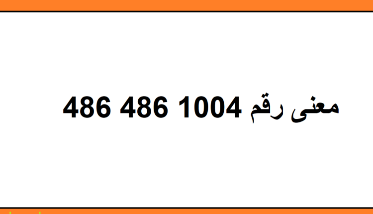 ما معنى 1004 486 486 ؟