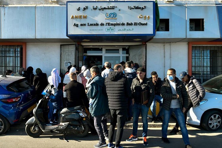 ما هو سن منحة البطالة 2023 في الجزائر ؟
