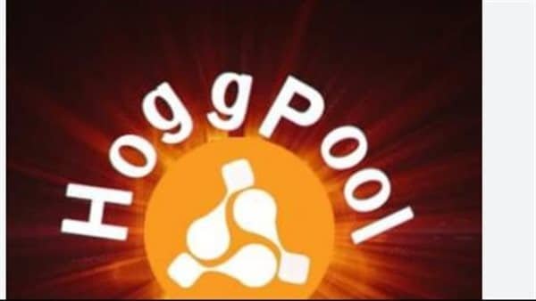 ما هو تطبيق منصة هوج بول hogg pool على ويكيبيديا ؟