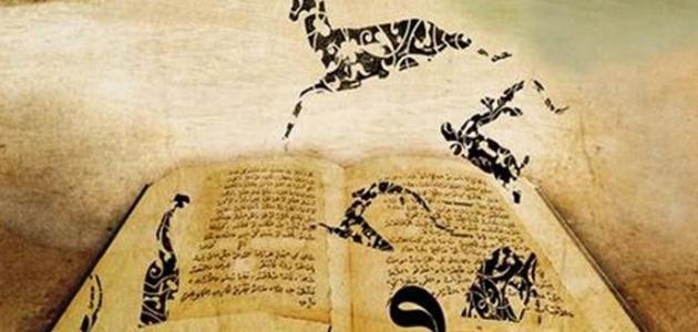 مقال حول الأقصوصة