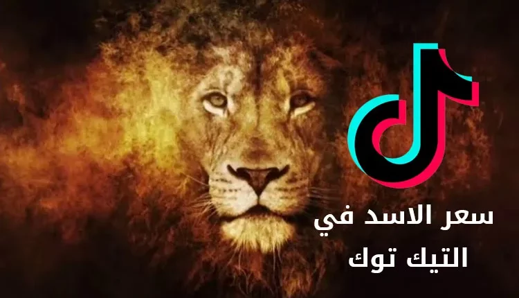 كم يساوي سعر الاسد في تيك توك بالدولار