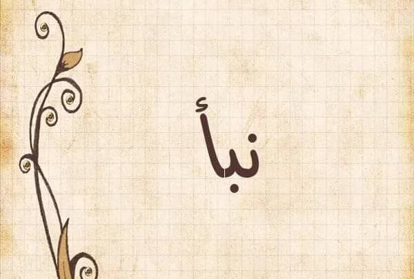 ما هي عيوب اسم نبأ ؟