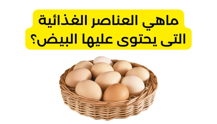 ماهي العناصر الغذائية التى يحتوى عليها البيض