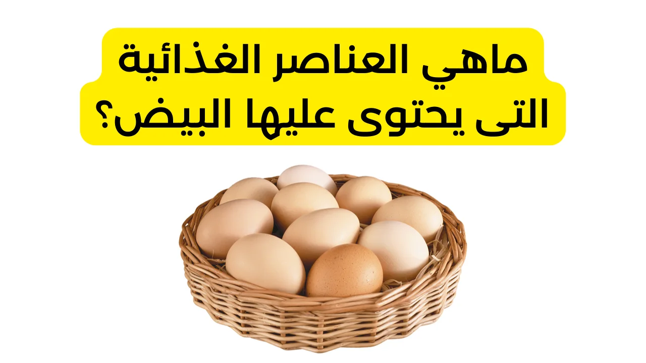 ماهي العناصر الغذائية التى يحتوى عليها البيض