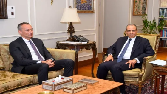 وزير الخارجية المصري يجتمع مع ملادينوف بشأن غزة