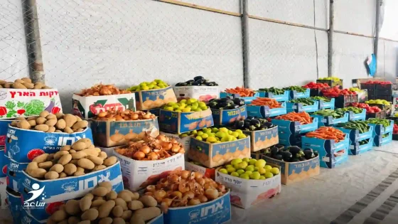 جمعية ساعد تعتزم توزيع 1000 طرد غذائي في غزة